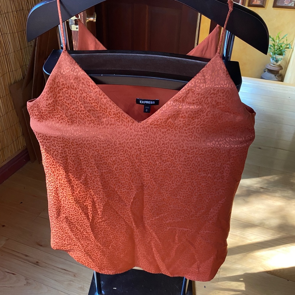 Express silky sexy top in pretty burnt  Orange color